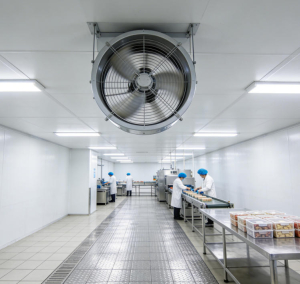 Industrial Fan (4)